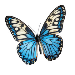 Obraz premium beautiful flying butterfly isolated