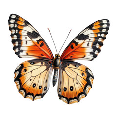 Naklejka premium beautiful flying butterfly isolated