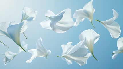Flower petals floating in the air on a blurred background, spring concept, creating vibrant scene.