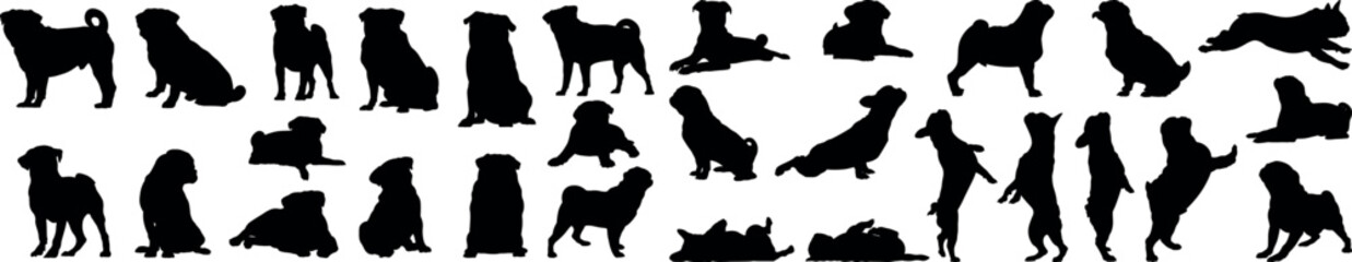 Pug Dog silhouette vector illustration big set
