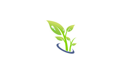 vector illustration of a green leaf