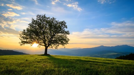Solitary Tree Standing Majestically on a Green Hillside at Sunset with a Beautiful Sky : Generative AI