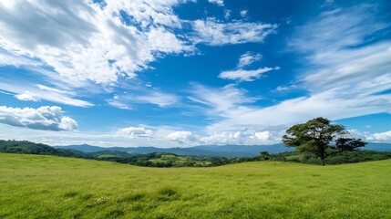 Breathtaking View of a Lush Green Meadow Underneath a Wide Blue Sky with Fluffy White Clouds : Generative AI