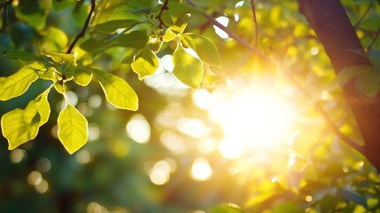 Sunlight filtering through lush green leaves creating a beautiful natural effect : Generative AI