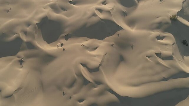 sand in the desert