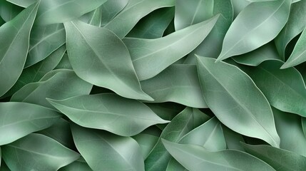 Green leaves texture background, nature, organic, design