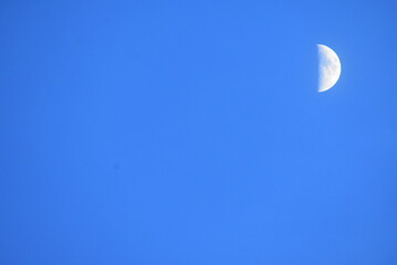 A crisp shot of the half-moon in a vast blue sky, showcasing its craters and lunar surface. A minimalist and serene celestial scene perfect for space, astronomy, and nature themes.