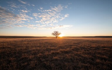 Fototapeta premium Solitary tree silhouetted against a vibrant sunrise over a vast, dry field. The golden light illuminates the landscape, creating a serene and peaceful atmosphere