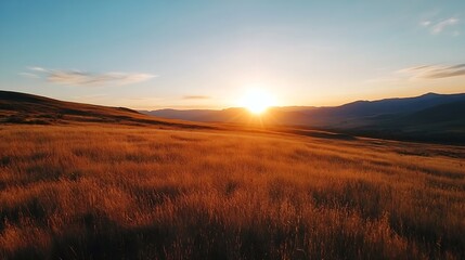 Golden Hour Sunset Over Rolling Hills and Fields with Warm Light Illuminating the Grain : Generative AI