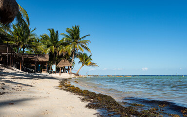 paradiesischer Strand mit Palmen und Strandhütten