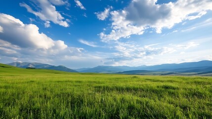 Expansive green meadow under a bright blue sky with scattered clouds and distant mountains : Generative AI