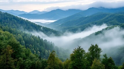 Fototapeta premium Misty mountain landscape with lush green trees and rolling hills creating a serene atmosphere : Generative AI