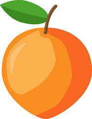 Vector illustration of Orange apricot with green leaf and stem, fresh fruit icon showing ripe, juicy fruit with simple design. 