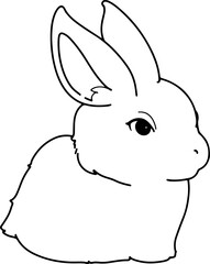 hand drawn rabbit