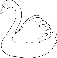 hand drawn swan