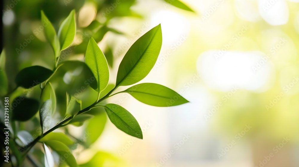 Poster lush green leaves illuminated by soft natural light creating a serene and tranquil atmosphere indoor
