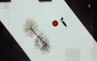 High-angle view of a person walking in a modern building with strong shadows and sunlight illuminating the floor, near small trees. 