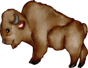 watercolor bison © Je