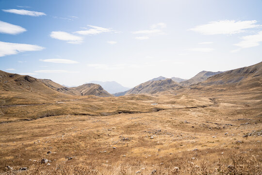 Steppe