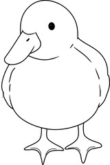 duck exotic pet