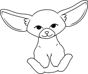 fennec fox exotic pet