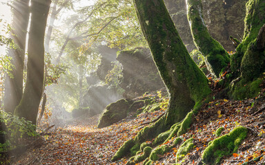 Eifel landscape, Rhineland-Palatinate, Germany