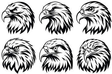 Majestic Eagle Hawk Bird of Prey Illustration with Sharp Eyes and Powerful Feathers