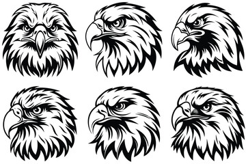 Majestic Eagle Hawk Bird of Prey Illustration with Sharp Eyes and Powerful Feathers