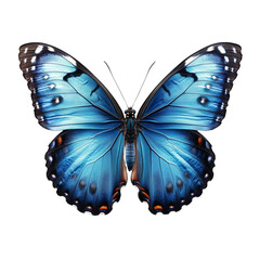 Blue Butterfly, vibrant colors, wildlife close-up