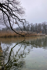 Mystery morning foggy park in the Nymphenburg Palace in Munich, Germany