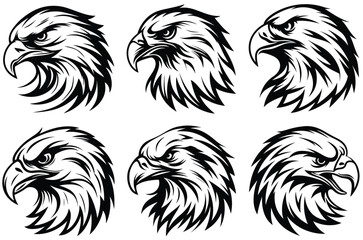 Majestic Eagle Hawk Bird of Prey Illustration with Sharp Eyes and Powerful Feathers