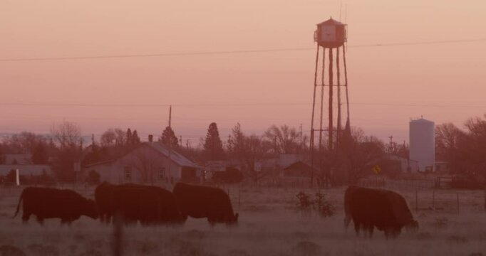 Telephoto Roy, NM Watertower