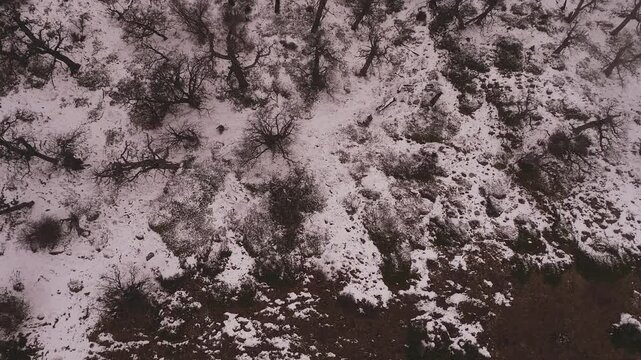 texture of stone