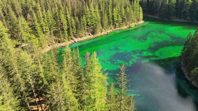 Aerial view of tranquil green lake surrounded by lush forest and clear water, Gruner See, Bruck an der Mur, Styria, Austria.