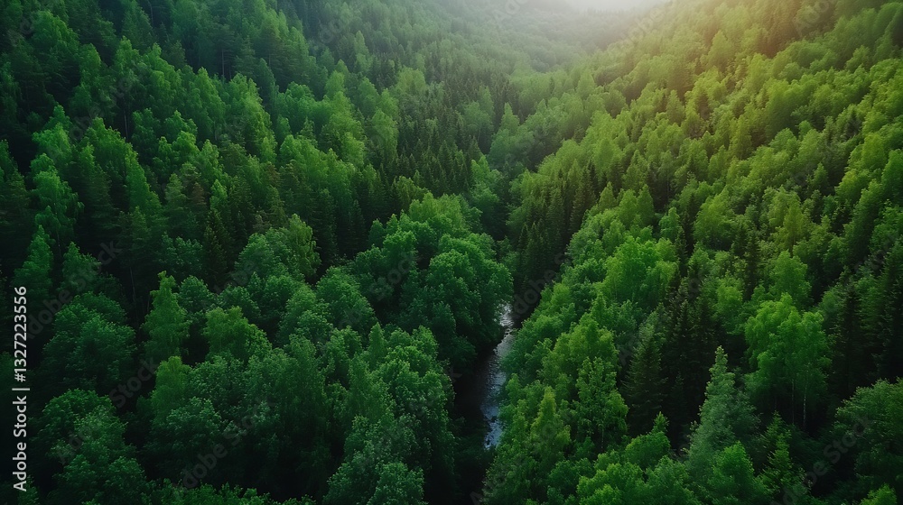 Poster aerial view of a dense green forest landscape with a winding river enhancing nature's tranquility : 
