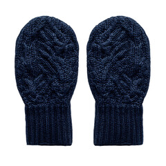 A Pair of Navy Knit Mitts Isolated on Transparent Background