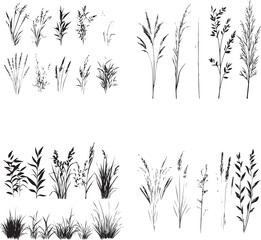 Set of grass silhouettes on black and white