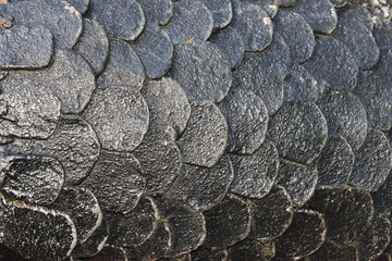 Creative background made of fish scales made of bronze © dzmitry_2014