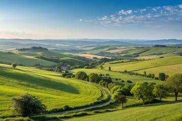 Fototapeta premium Serene Rolling Hills Bathed In The Golden Light Of A Summer Sunset, A Picturesque Countryside Vista Showcasing Natures Tranquil Beauty