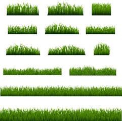 Big Set Green Grass Borders And White Background