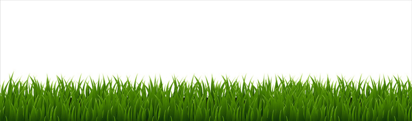 Obraz premium Green Grass Panorama White Background