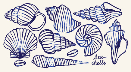 Various Seashells set. Different shapes. Outline modern style. Summer, vacation, ocean, beach concept. Hand drawn trendy Vector illustration. Isolated design elements