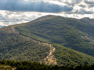 Obraz premium Mountain peak in summer with a path in a forest firebreak