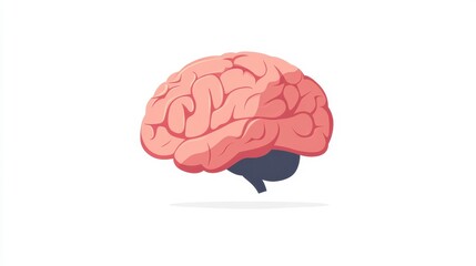Minimalist Illustration of a Human Brain in Flat Style