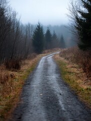 Fototapeta premium A winding dirt path through a foggy forest surrounded by trees and natural scenery : Generative AI