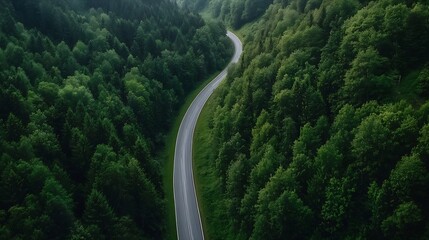 Fototapeta premium Scenic aerial view of a winding road surrounded by lush green forests : Generative AI