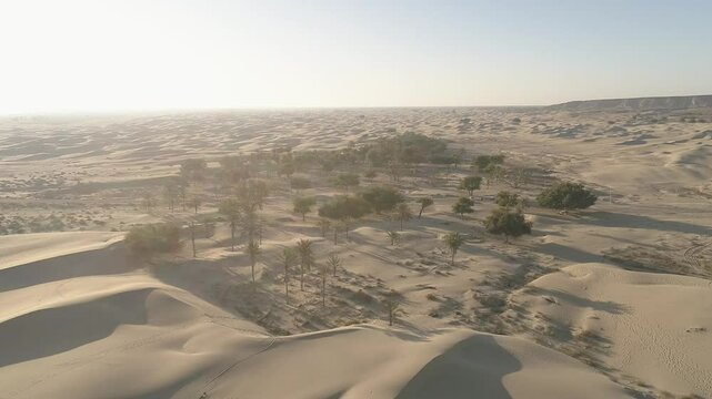 aerial view of the desert