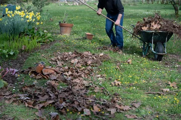 Fotobehang Gardeners cleaning fallen leaves in the garden in sunny spring day, High quality photo © FreeProd