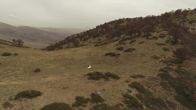 panorama of the mountains