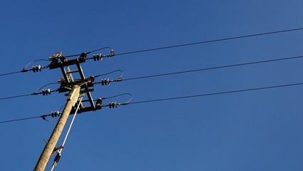 low angle of electric cables against the sky